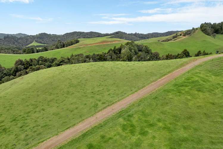 123 Waipipi Road Whananaki_34