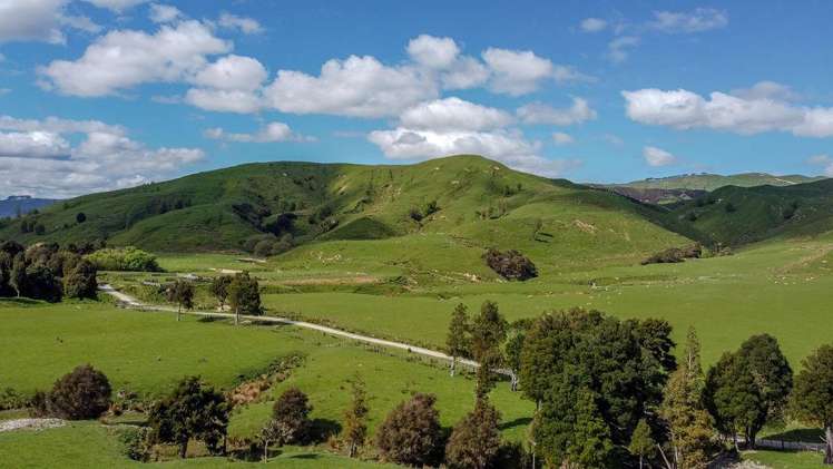 1614 Hinemoa Valley Road Pahiatua_6