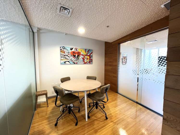 8A Cleveland Road Parnell_4