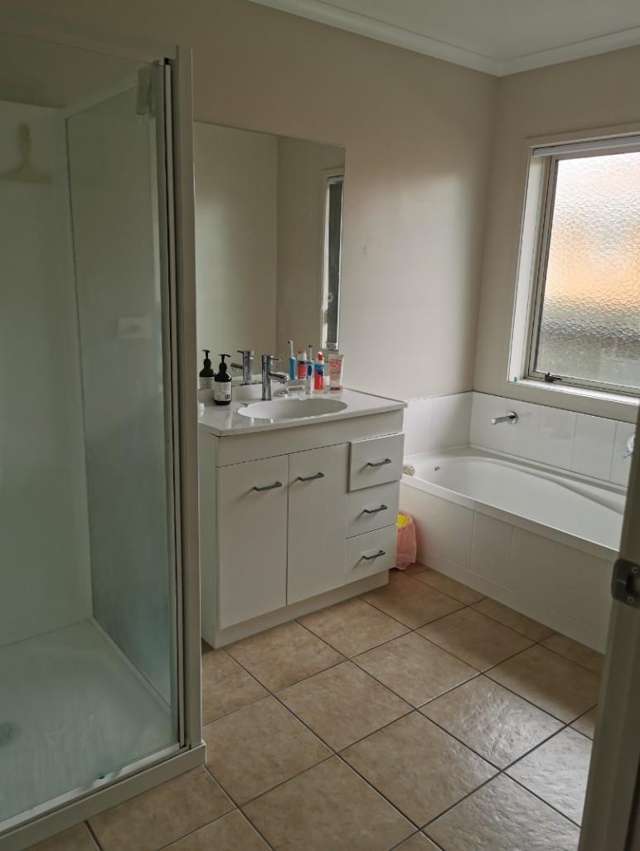 458 Thames Street Morrinsville_2