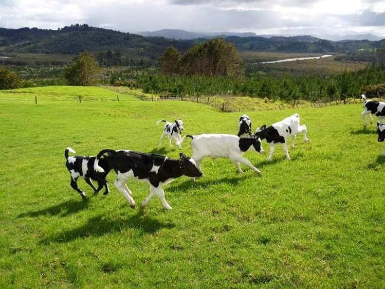 477 Happy Valley Road Umawera_13