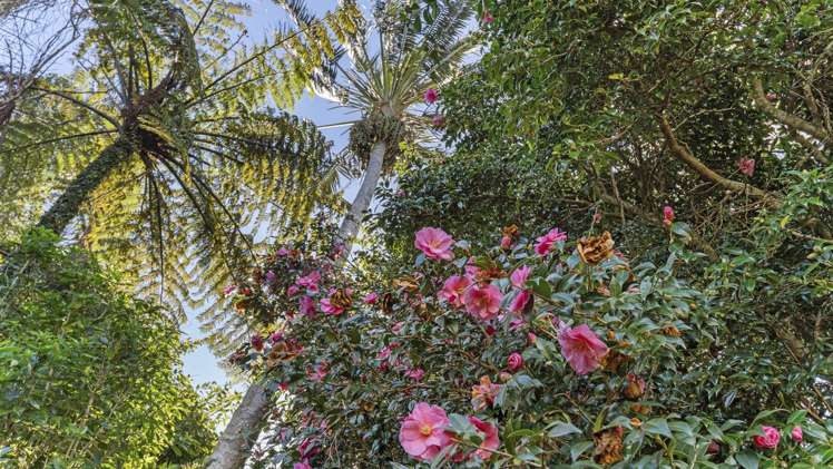 20 Frankley Road Westown_22