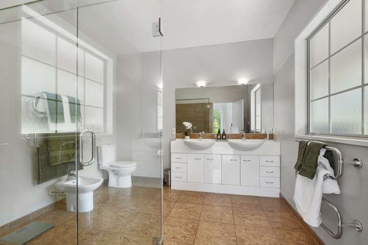 295 Postman Road Dairy Flat_27