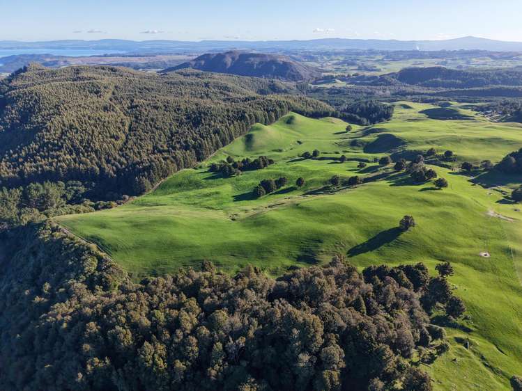 Poihipi Road Wairakei_6