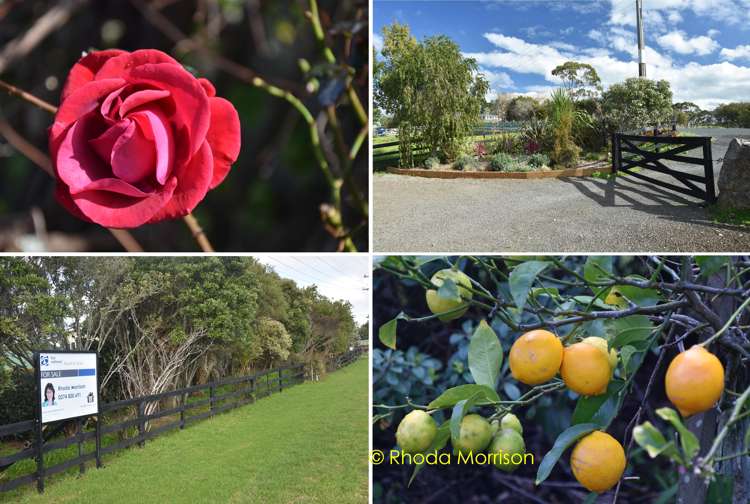 229 Pahi Road Paparoa_32