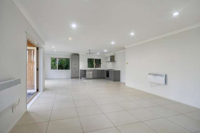 82a Richardson Road Mount Albert_4