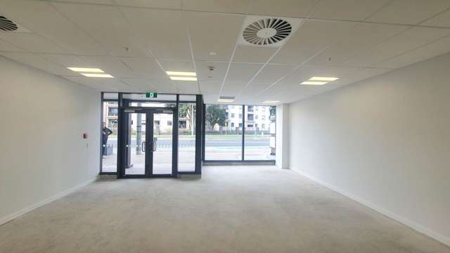 215 Shakespeare Road Takapuna_2