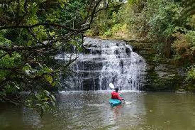 38/5 Perekia Street Albany_6