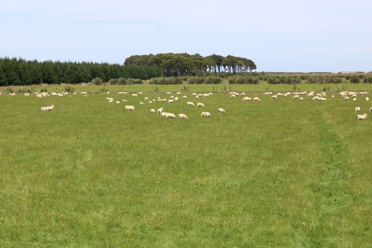 358 Holz Road Wyndham Surrounds_17