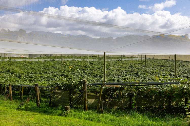 1151 Oreipunga Road Maungatautari_22