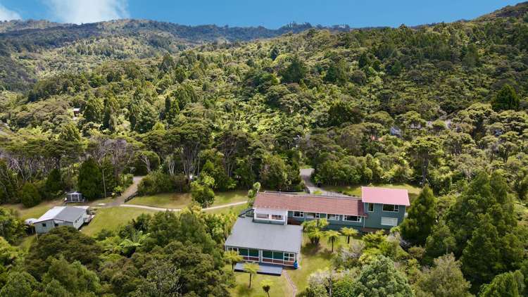 18 Steam Hauler Track Waitakere_31