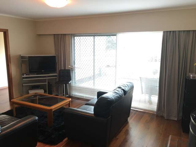 17 Reeves Road Pakuranga_3