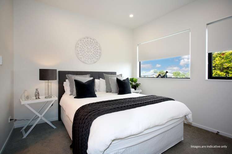 Lot 1 Maioha Road Pukekohe_9