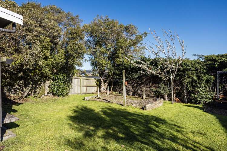 8 Eastbank Street Waverley_29