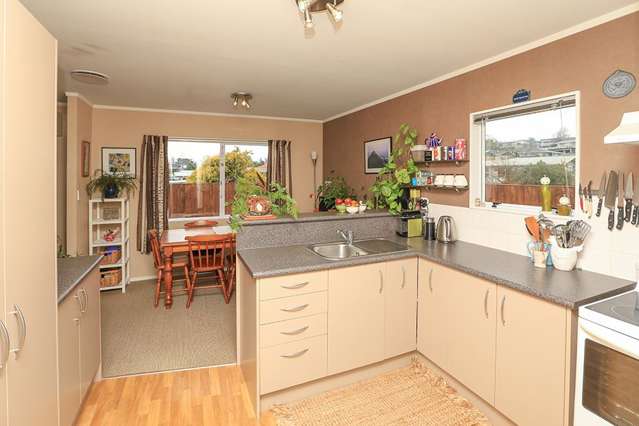 13b Livingstone Avenue Nawton_4