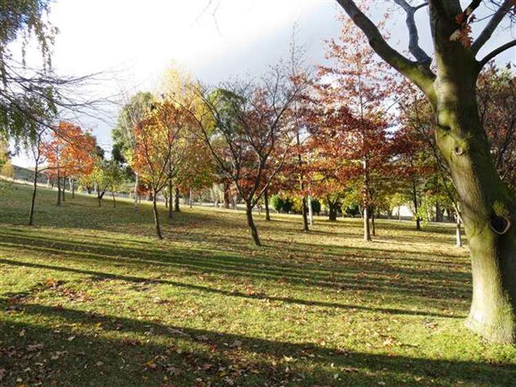 52 Burn Cottage Road Cromwell_22