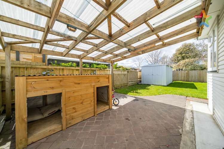 8 Tui Grove Elderslea_19