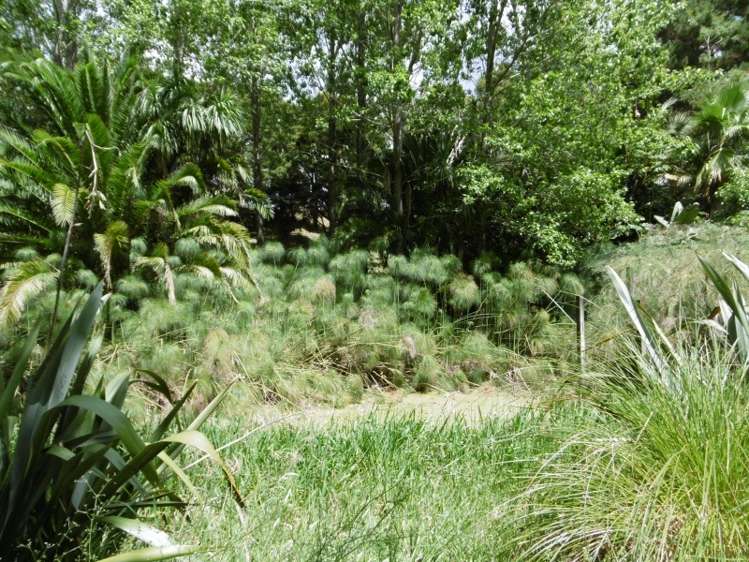 697 Tangihua Road Maungakaramea_13