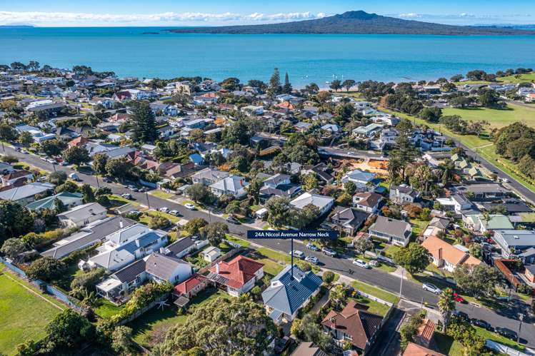 24a Niccol Avenue Narrow Neck_8