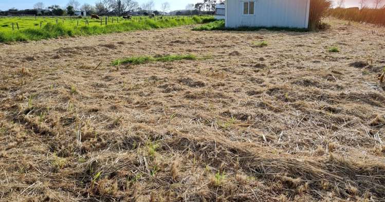 Church Street Dargaville Surrounds_3