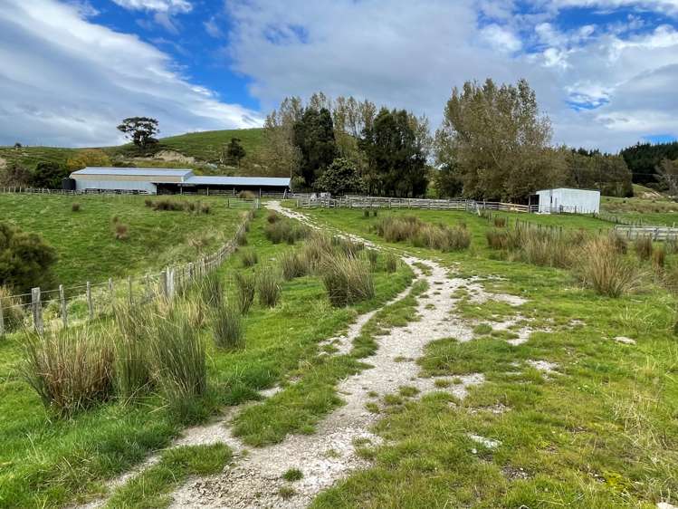 643 Glengarry Road Puketapu_16