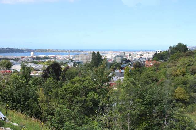 20C Lachlan Avenue North Dunedin_1