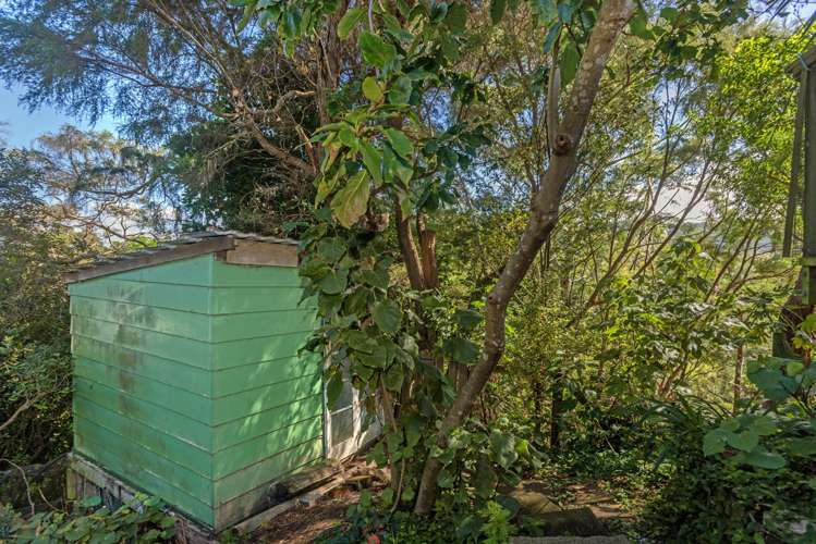 12 Heatherlea Street Outer Kaiti_17