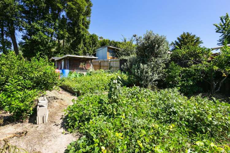 41 Kemp Road Massey_2