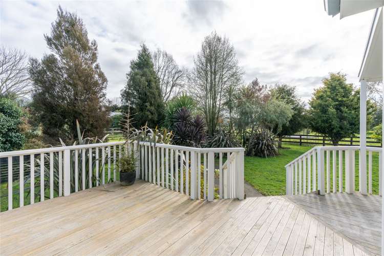 385 Seddon Road Gordonton_6