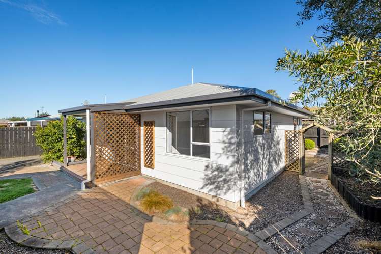 17A Cashmere Grove Witherlea_10