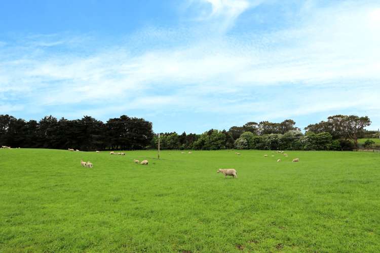 496 Flora East Makarewa_17