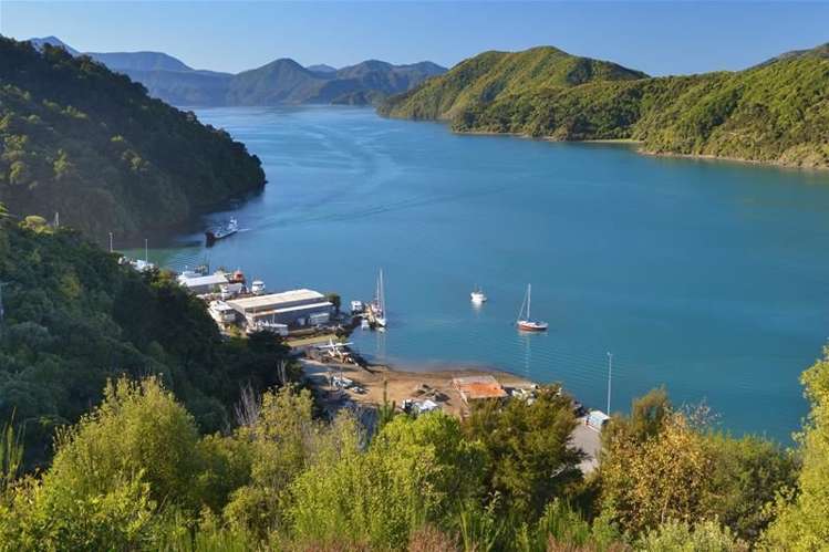 3264 Queen Charlotte Drive Picton_19