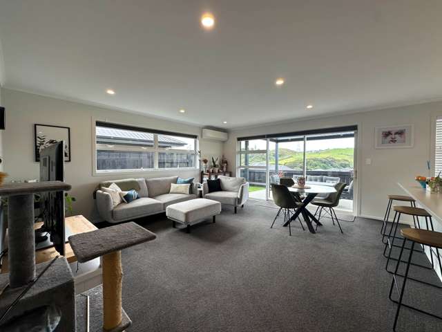 14 Kokopu Lane Ohauiti_3