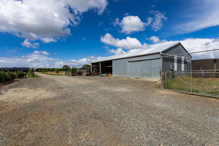 31 King Road Waianiwa_30