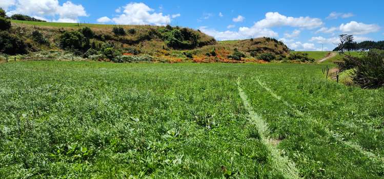 5 Kakaramea Road Patea_2