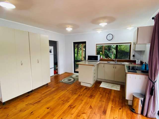 214 Bethells Road Bethells Beach_4