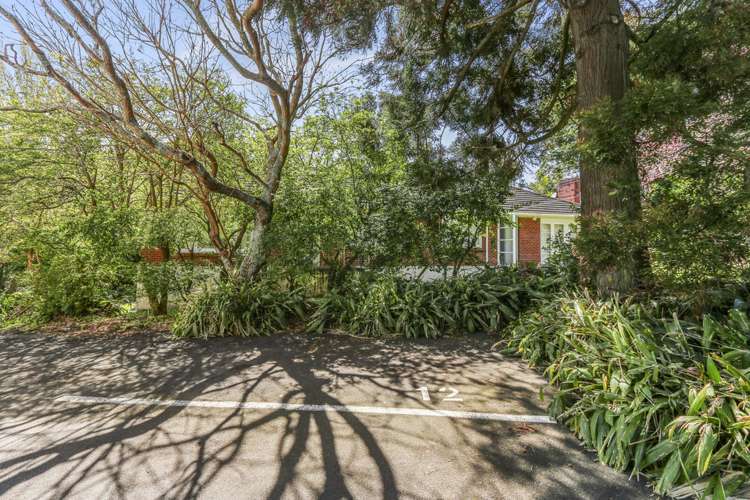 12/4 Wynyard Road Mount Eden_9