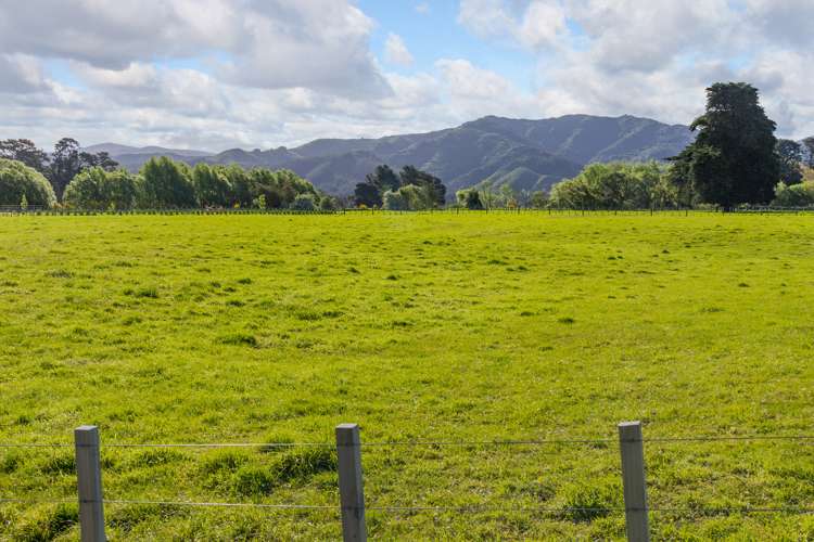 98 Thomas Road Carterton_8