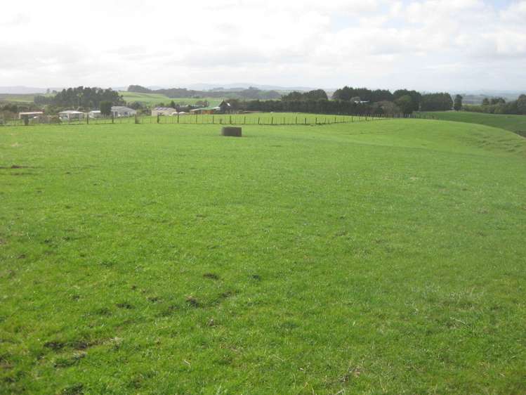 174 Morrison Road Pukekawa_6