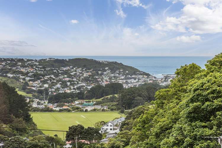 3/27 Whaui Street Vogeltown_19