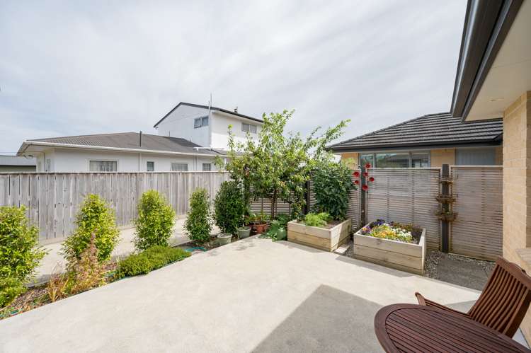 19 Andrew Street Stoke_19