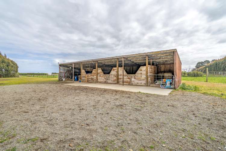 644 Ryal Bush Wallacetown Road Wallacetown_18