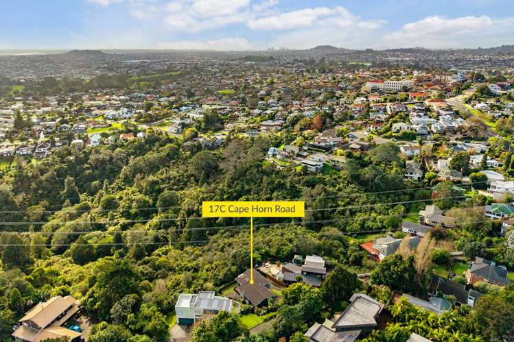 17c Cape Horn Road Mount Roskill_27