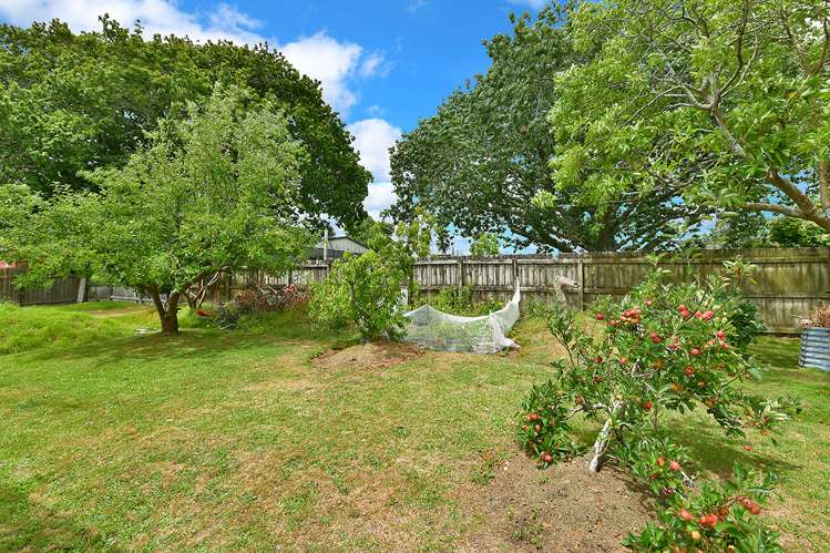 14 Puriri Street Helensville_15