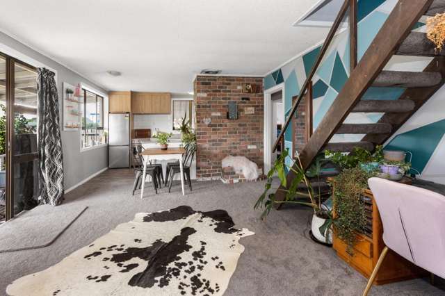 1a Lincoln Street Morrinsville_4