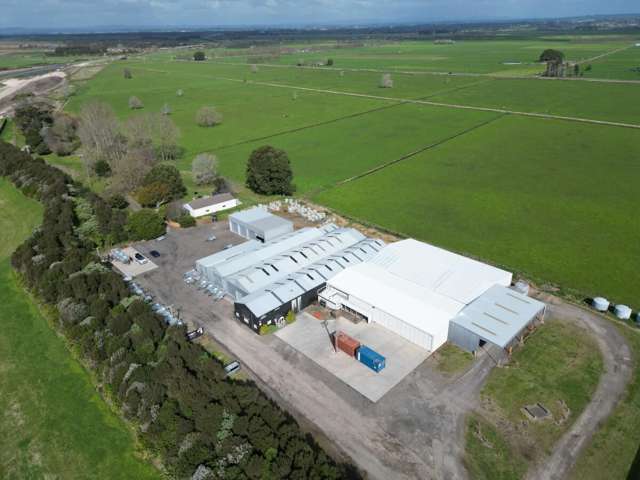 339 Bell Road Papamoa_1