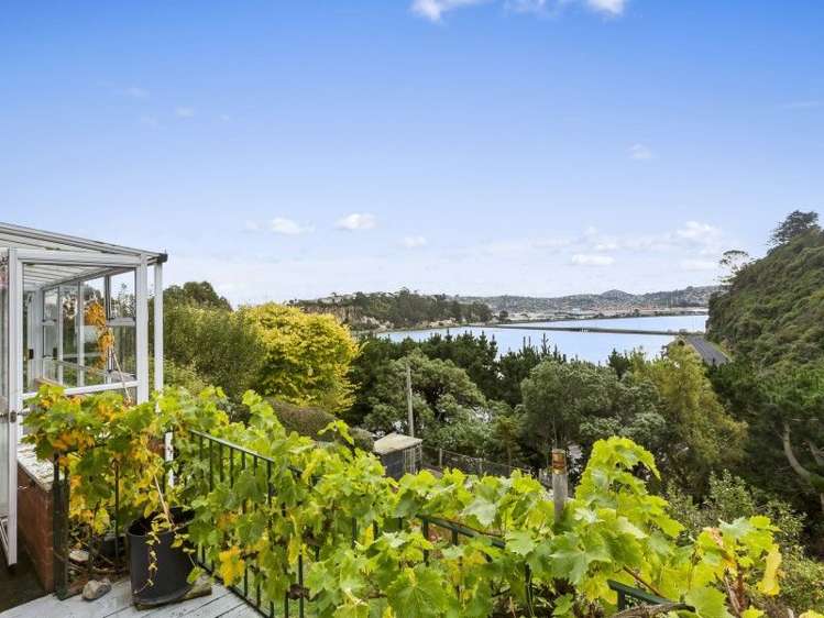 46 Marne Street Andersons Bay_15