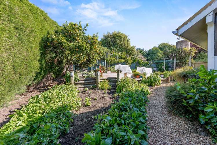 126 Marine Drive Diamond Harbour_23