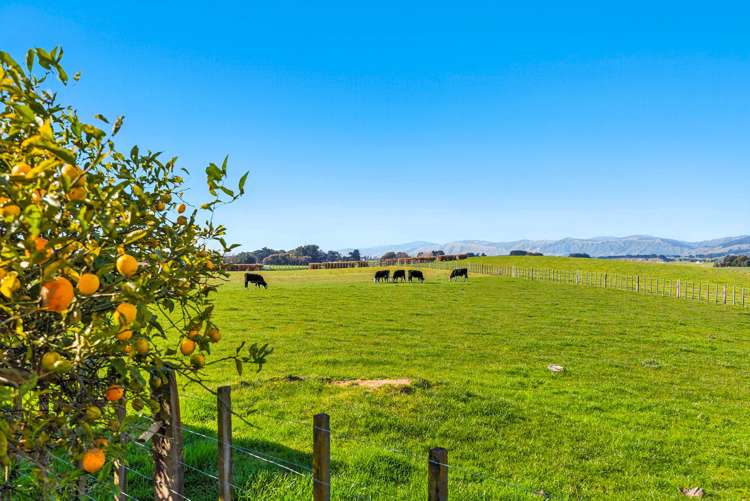 208 Kukutauaki Road Koputaroa_14