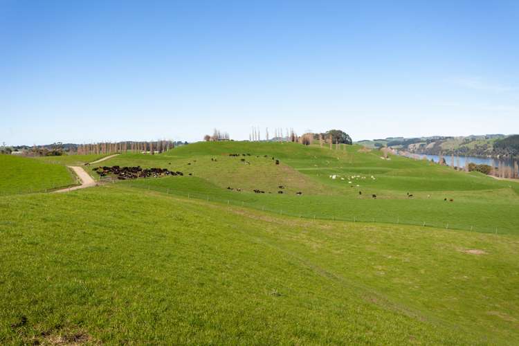 820 Lake Arapuni Road Arapuni_15